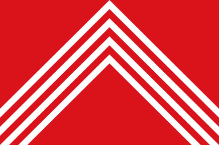 Vlag Brakel 200x300cm