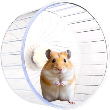 Stil Hamster Wiel - Loopwiel Gerbil - Dieren Fitness - Dubbele Lagers - 14 cm - Transparant