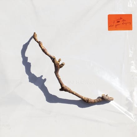 PJ Harvey - I Inside The Old Year Dying (CD)