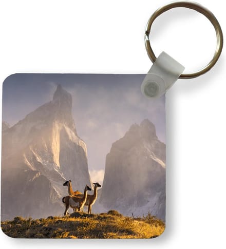 Sleutelhanger - Lama - Bergen - Gras - Uitdeelcadeautjes - Plastic