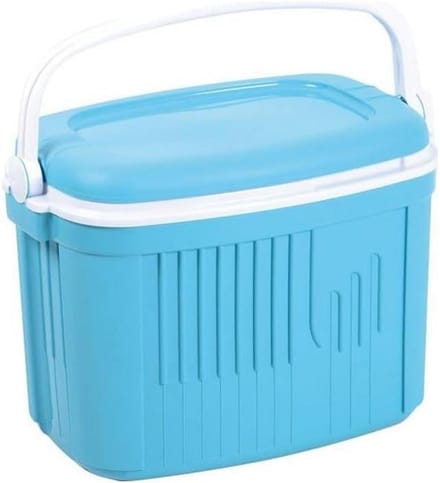 Grote Koelbox 42 Liter - IJsbox voor Drankjes en Boodschappen - Wit