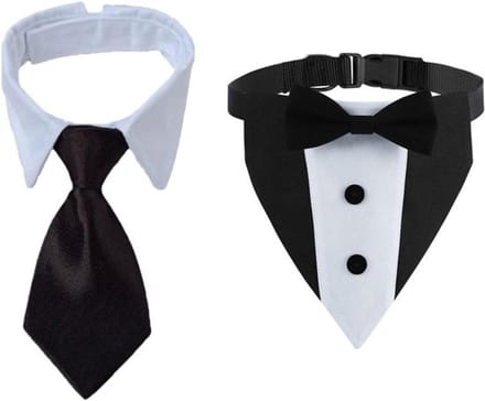 Halsband hond Allecto Plus voor bruiloftsjubileum