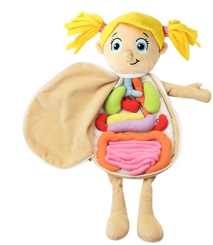 Anatomie Pop - Orgaan Model - Leren Lichaam - Pluche Materiaal - 49 x 33 x 6 cm - Multicolor