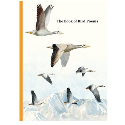 The Book Of Bird Poems - Ana Sampson
