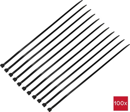 TRU COMPONENTS TC-12533364 Kabelbinder 300 mm 7.6 mm Zwart 100 stuk(s)