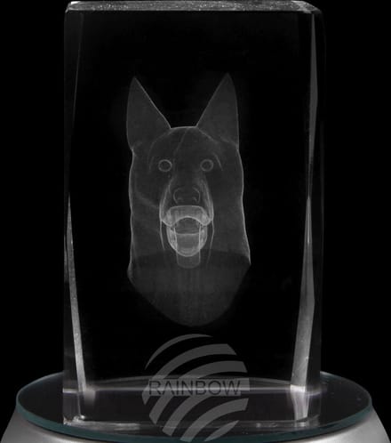 glasblokje crystal plein thema: hond kleur transparant