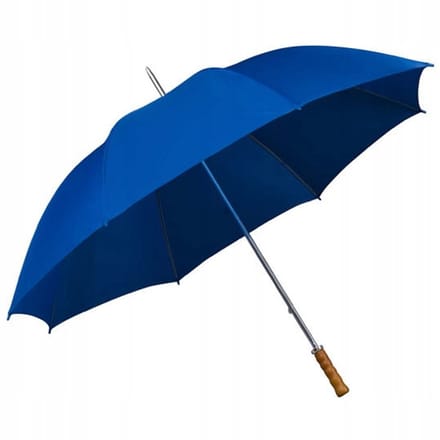 Grote Blauwe Damesparaplu - 130cm Doorsnede