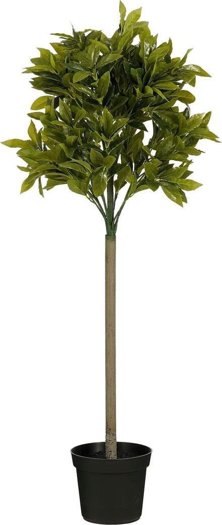 Mica Decorations Laurierboom Kunstplant - H120 x Ø40 cm - Groen