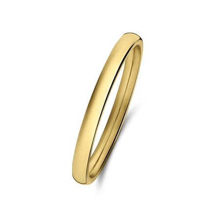 Lucardi Dames Stalen goldplated ring 2mm - Ring - Staal - Goud - 20 / 63 mm