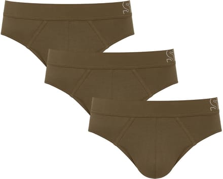 sloggi Slip Briefs
