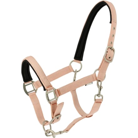 Norton Equestrian Nacre Halster Bruin Full