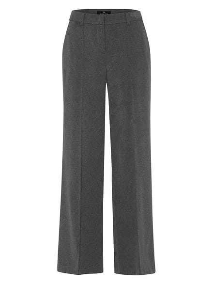 Broek Van Peter Hahn grijs