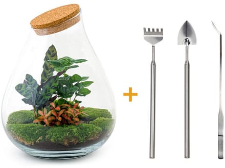 DIY terrarium - Drop XL Rood -  37 cm -