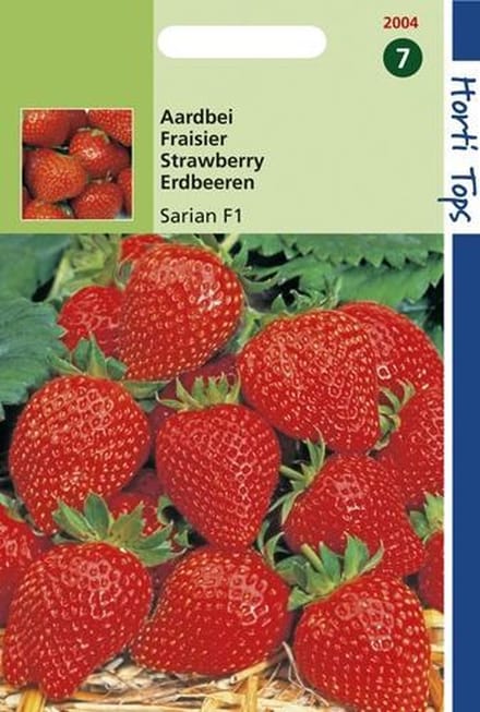 2 stuks Hortitops Aardbeien Grandian F1
