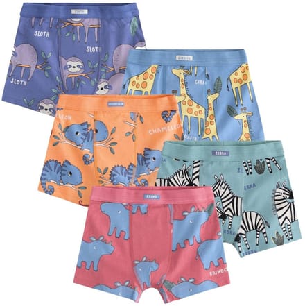 Next - Jongens - Set van 5 herenslips met zachte tailleband - Blauw