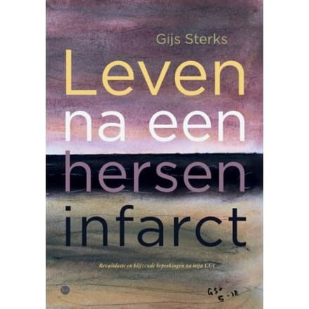 Leven Na Een Herseninfarct - Gijs Sterks