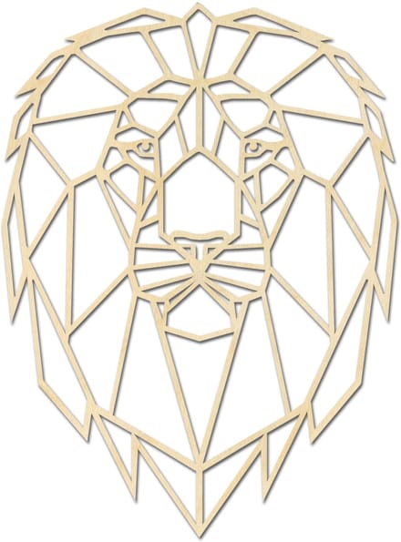 Geometrische Leeuw / Dieren