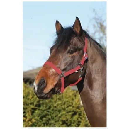Nylon paardenhalster HorseGuard