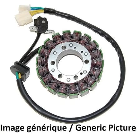 Allumage moto stator Electrosport Suzuki Gsx650F