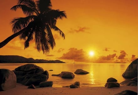 Fotobehang - Sunset 368x254cm - Papierbehang
