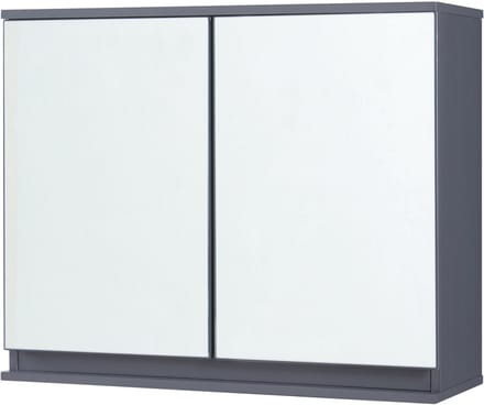 Spiegelkast Overath badkamerkast grijs 49,5x60x20 cm [en.casa]