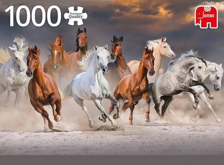 PC Desert Horses 1000pcs