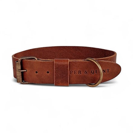 Cooper & Quint Bold Brede Leren Halsband - Bruin - Medium - 4 cm - Oud Messing