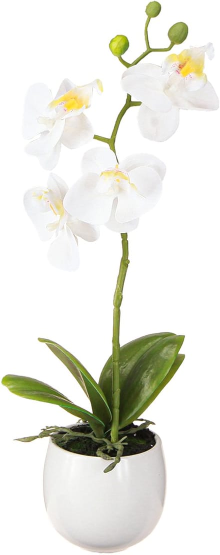 Witte orchideeën kunstbloemen in pot Phalaenopsis H33cm
