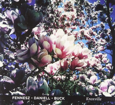 Fennesz, David Daniell, Tony Buck - Knoxville (CD)