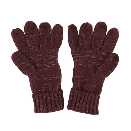 Regatta Dames/dames Winterhandschoenen (Paars)