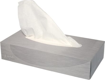 40X papieren zakdoeken, 2-laags, 100 vellen