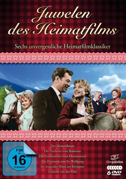 Fernsehjuwelen 6417111 film en Video DVD Duits