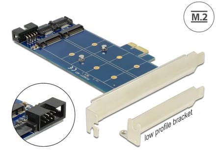 Delock PCI Express Card > 2 x internal M.2 NGFF