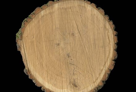 Fotobehang OakSlice DD108675 A.S. Création AP Digital 4 | 3D Fotobehang