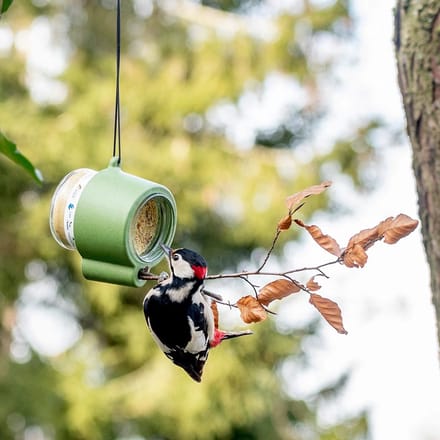 CJ Wildlife - Pindakaaspothouder Rio - Groen - Vogelvoederplek