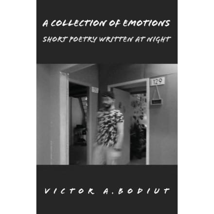 A Collection Of Emotions - Victor A. Bodiut