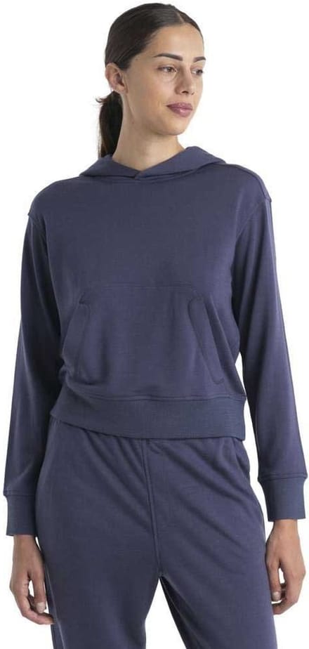 Icebreaker Crush Ii Merino Hoodie Grijs S Vrouw