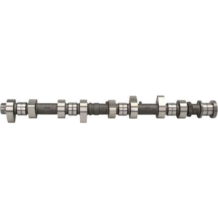 Nokkenas  AMC 665832