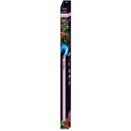 Buis Aquavie Lumivie SP T5