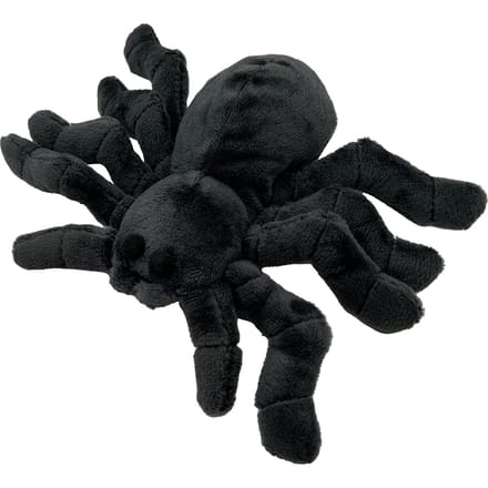 Aumüller kattenspeeltje spookachtige tarantula Spuki
