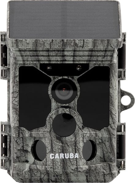 Caruba Raccoon Solar 4K Wildcamera