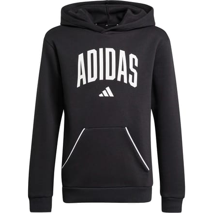 Junior Hoodie adidas Essentials Collegiate Typography