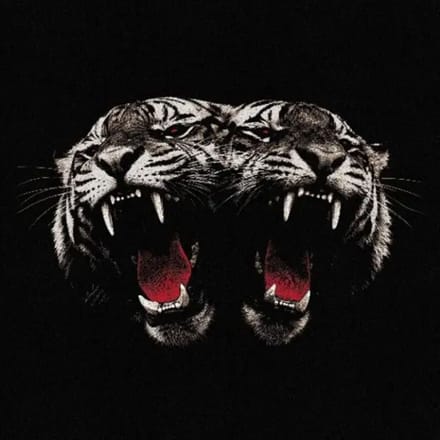 Royal Blood CD - Dead Company - voor Geen - standaard