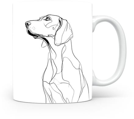 Beker Schillerstövare (Schiller Hound)
