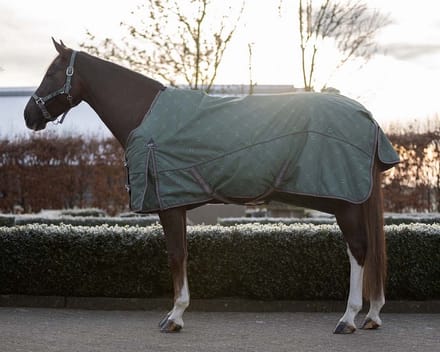 QHP Regendeken Turnout met Fleece Collection - maat 165/215 - stirrup