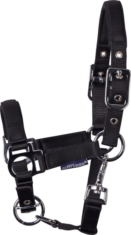 Harry's Horse - Veulenhalster - Padded - Zwart - Mini Veulen