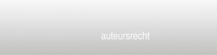Flame Classics Aansteker gasbus - butaan gasfles 250 ml - 2 stuks