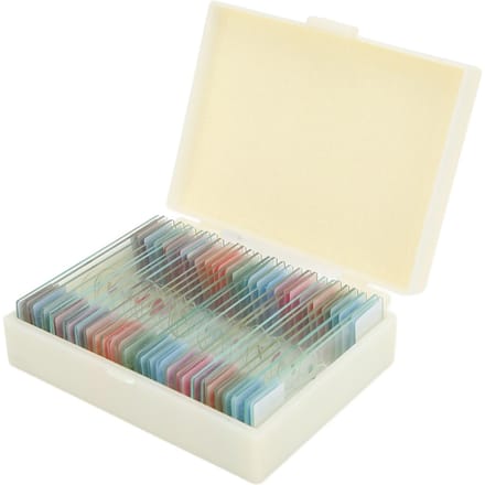 30 Stuks Microscoopglaasjes met Doos Transparant Biologie Geprepareerde Glaasjes Set voor Laboratorium beige
