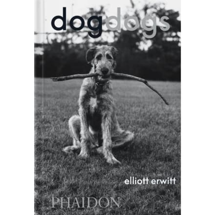 Dogdogs - P G Wodehouse