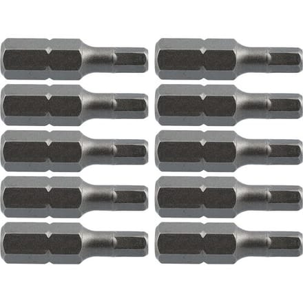 Labor schroefbit HEX4,0x25mm* (10 Stuks)